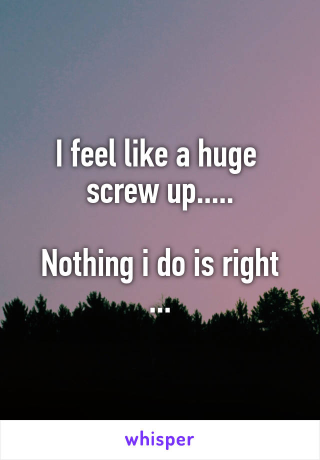 I feel like a huge  screw up.....

Nothing i do is right ...