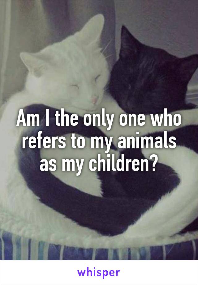 Am I the only one who refers to my animals as my children?
