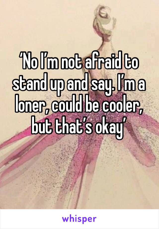 ‘No I’m not afraid to stand up and say. I’m a loner, could be cooler, but that’s okay’