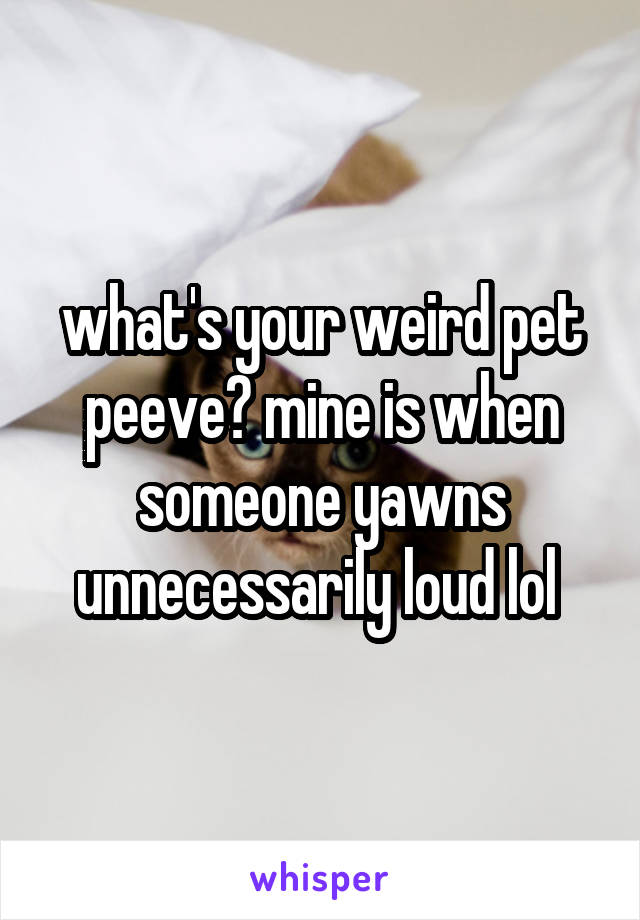 what's your weird pet peeve? mine is when someone yawns unnecessarily loud lol 