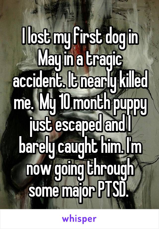 I lost my first dog in May in a tragic accident. It nearly killed me.  My 10 month puppy just escaped and I barely caught him. I'm now going through some major PTSD. 