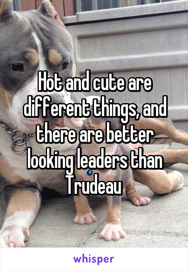 Hot and cute are different things, and there are better looking leaders than Trudeau 