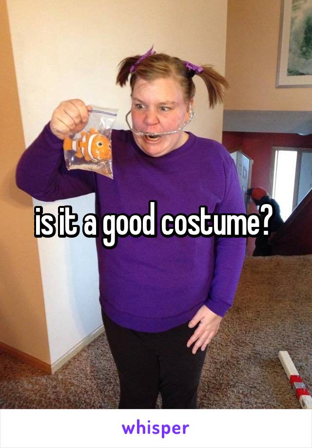 is it a good costume? 