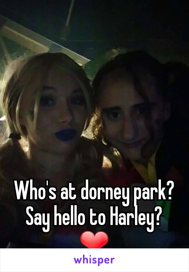 Who's at dorney park? Say hello to Harley? ❤