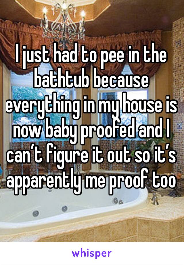I just had to pee in the bathtub because everything in my house is now baby proofed and I can’t figure it out so it’s apparently me proof too
