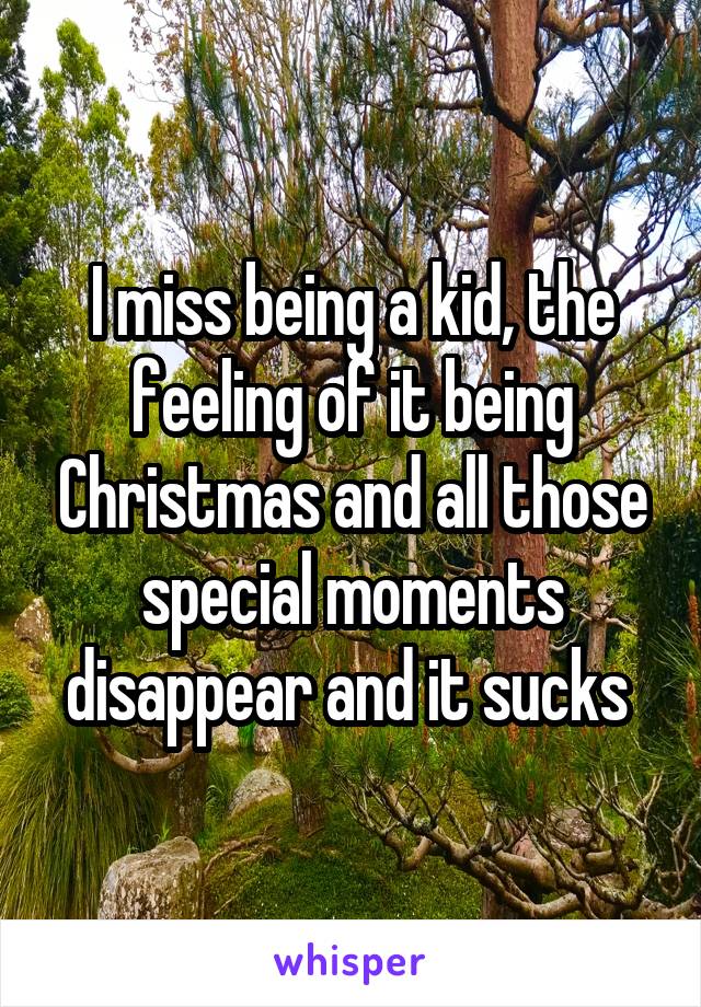 I miss being a kid, the feeling of it being Christmas and all those special moments disappear and it sucks 