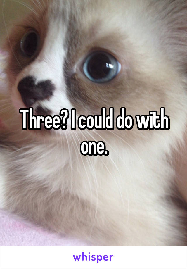 Three? I could do with one.