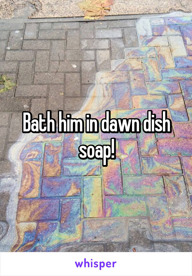 Bath him in dawn dish soap!