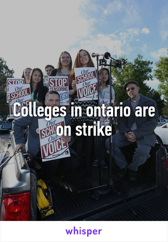 Colleges in ontario are on strike