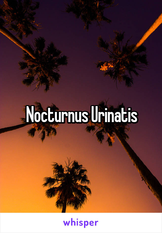 Nocturnus Urinatis