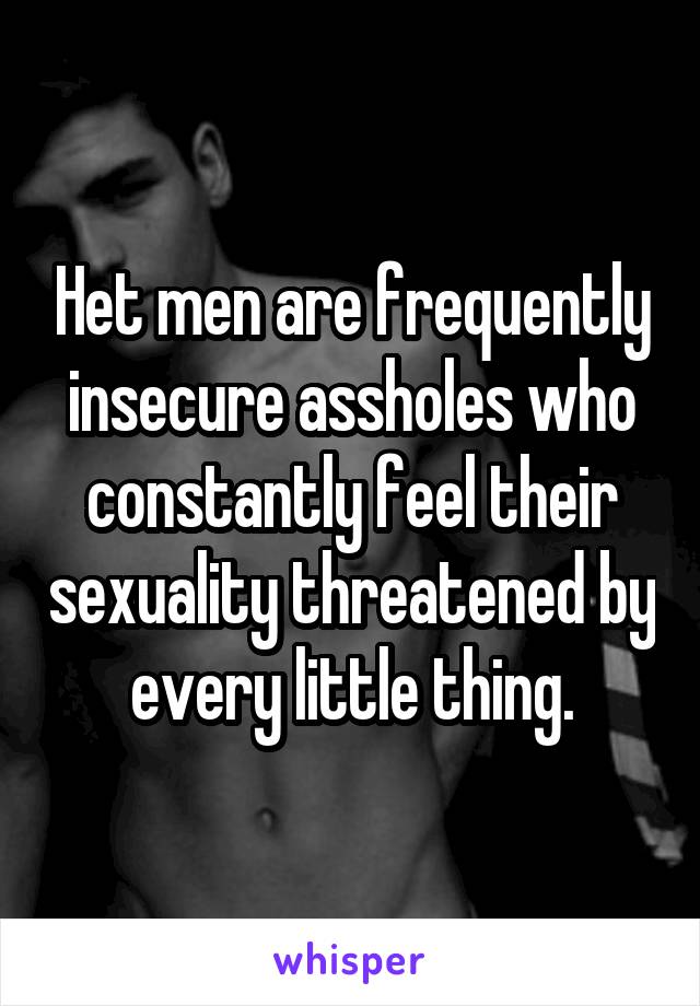 Het men are frequently insecure assholes who constantly feel their sexuality threatened by every little thing.