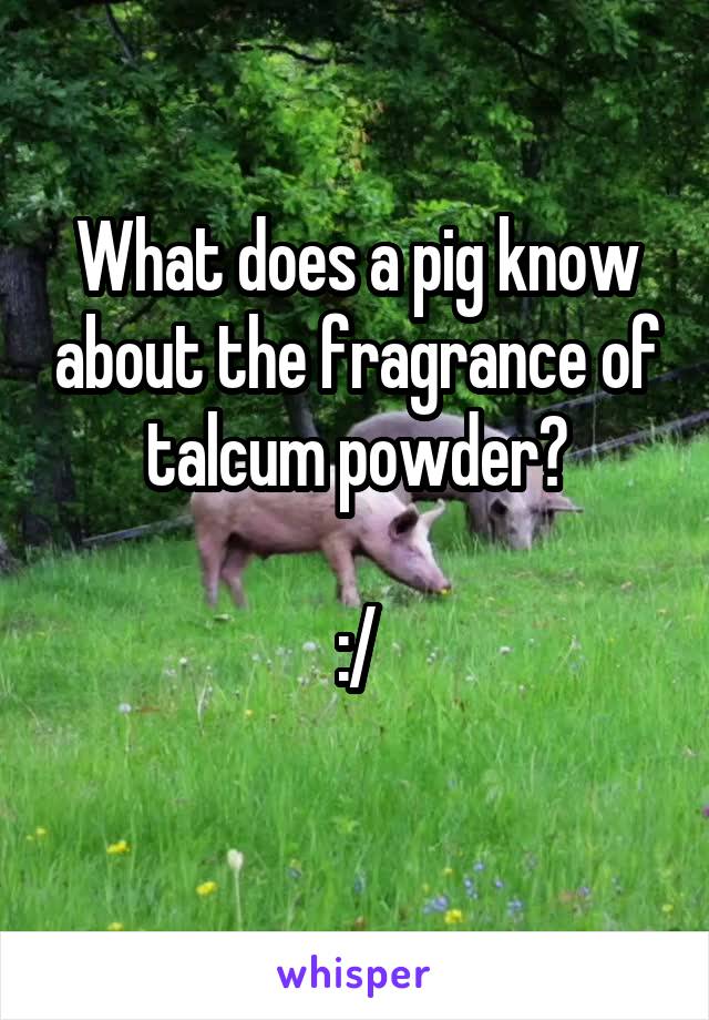 What does a pig know about the fragrance of talcum powder?

:/
