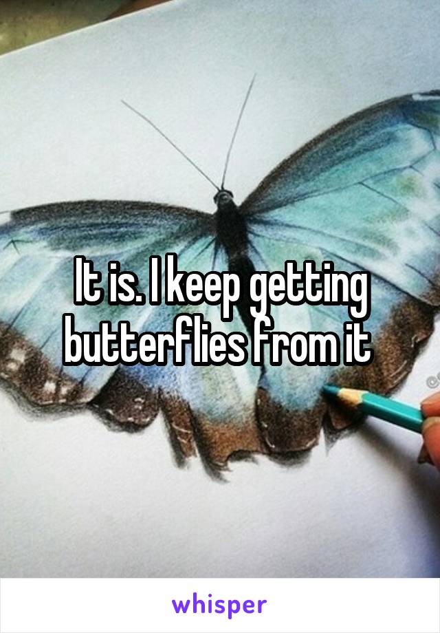 It is. I keep getting butterflies from it 