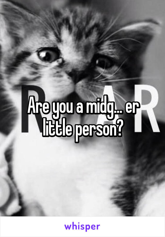 Are you a midg... er little person?