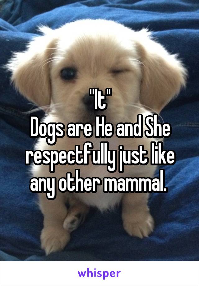 "It"
Dogs are He and She respectfully just like any other mammal. 