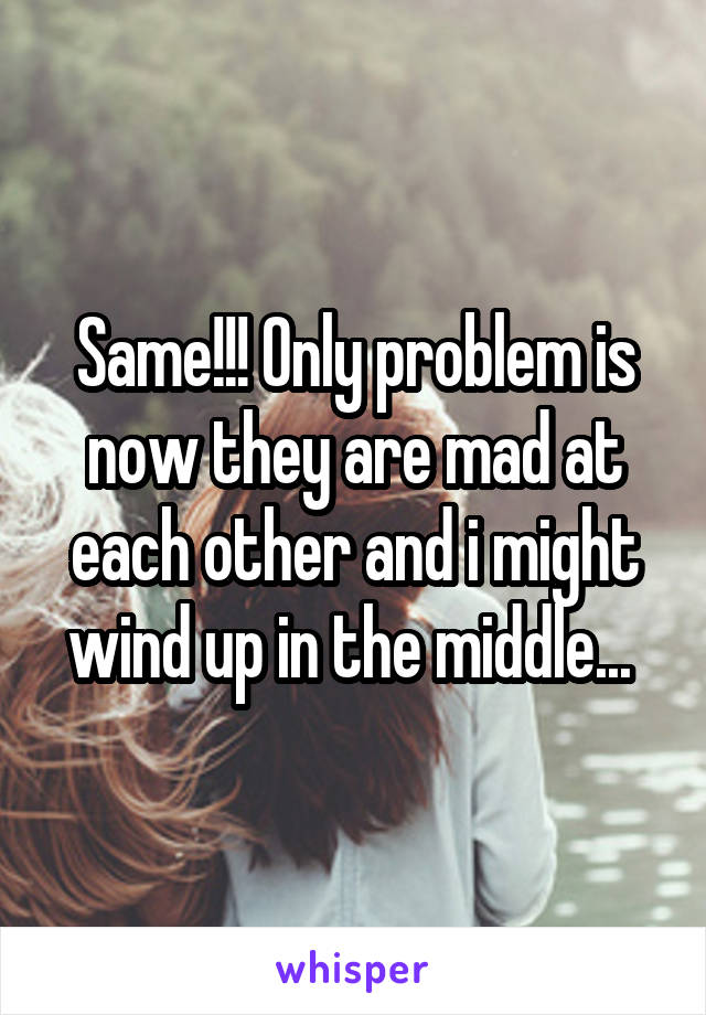 Same!!! Only problem is now they are mad at each other and i might wind up in the middle... 