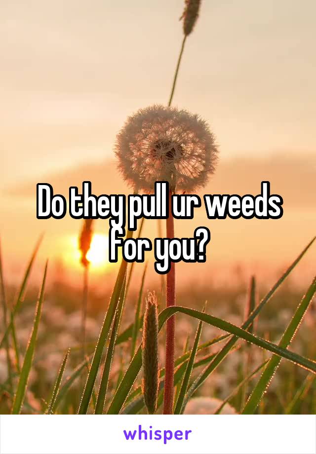 Do they pull ur weeds for you?