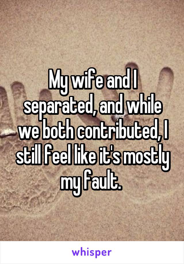 My wife and I separated, and while we both contributed, I still feel like it's mostly my fault. 