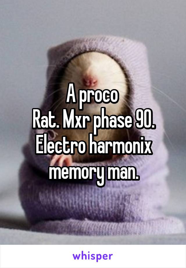 A proco 
Rat. Mxr phase 90. Electro harmonix memory man.