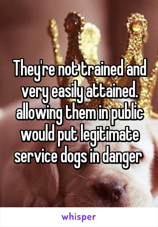 They're not trained and very easily attained. allowing them in public would put legitimate service dogs in danger 