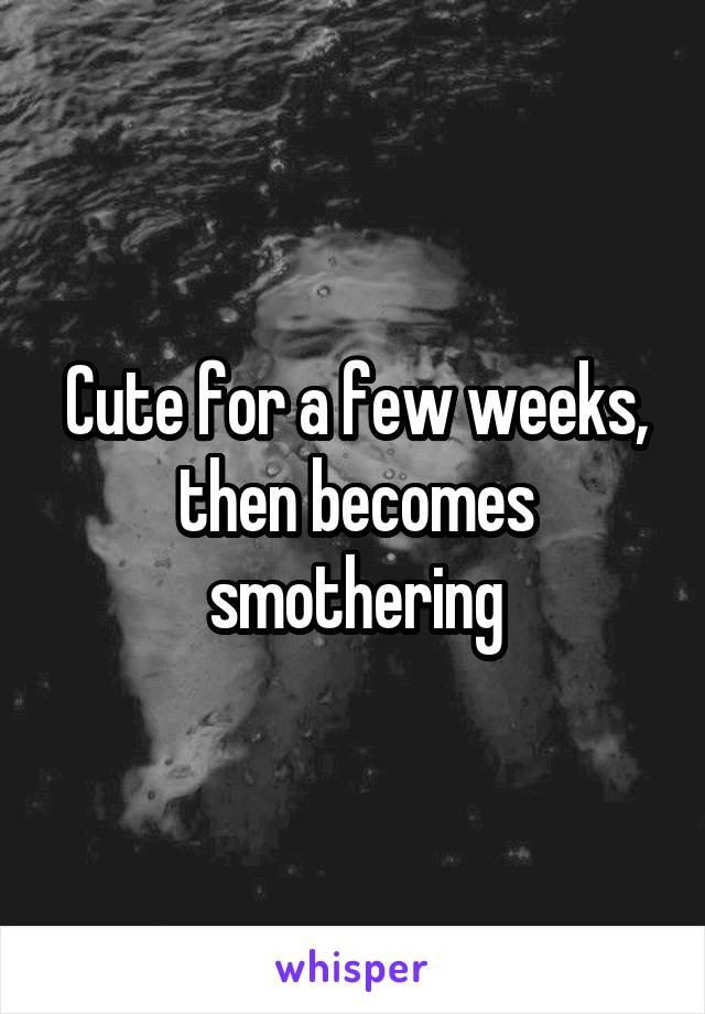 Cute for a few weeks, then becomes smothering
