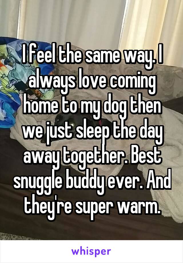 I feel the same way. I always love coming home to my dog then we just sleep the day away together. Best snuggle buddy ever. And they're super warm.