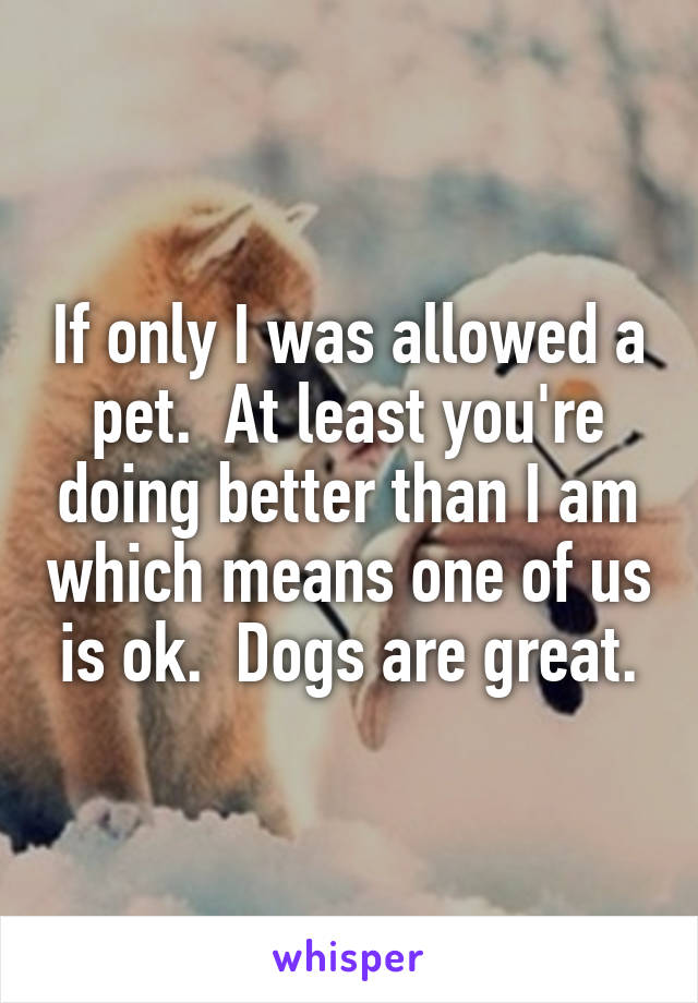 If only I was allowed a pet.  At least you're doing better than I am which means one of us is ok.  Dogs are great.