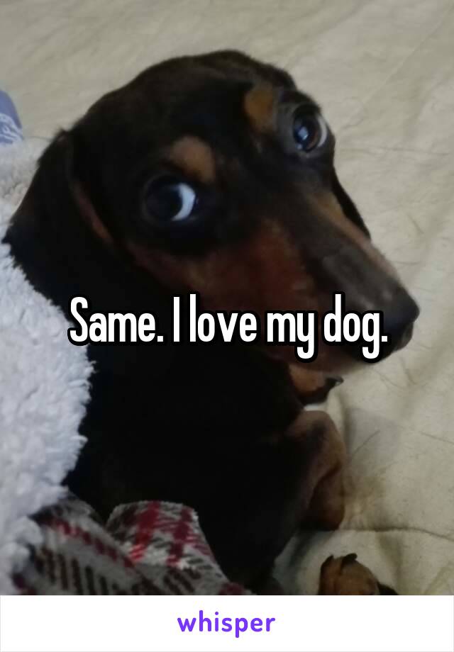 Same. I love my dog.