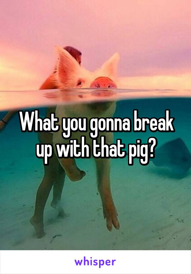 What you gonna break up with that pig?