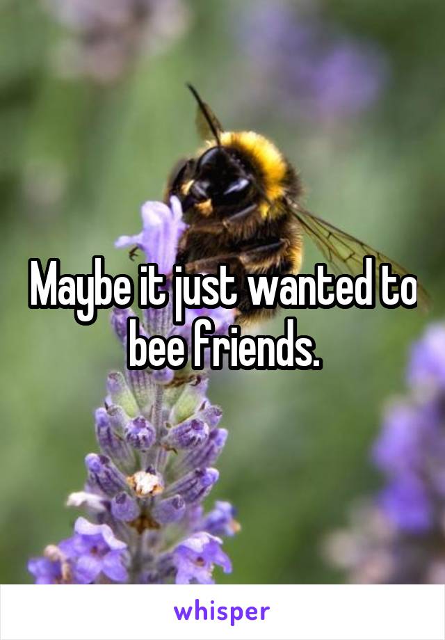 Maybe it just wanted to bee friends.