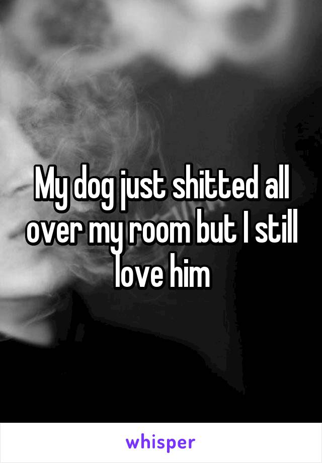 My dog just shitted all over my room but I still love him