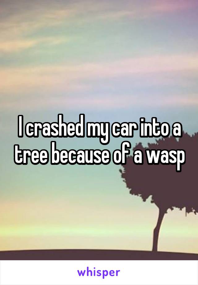 I crashed my car into a tree because of a wasp