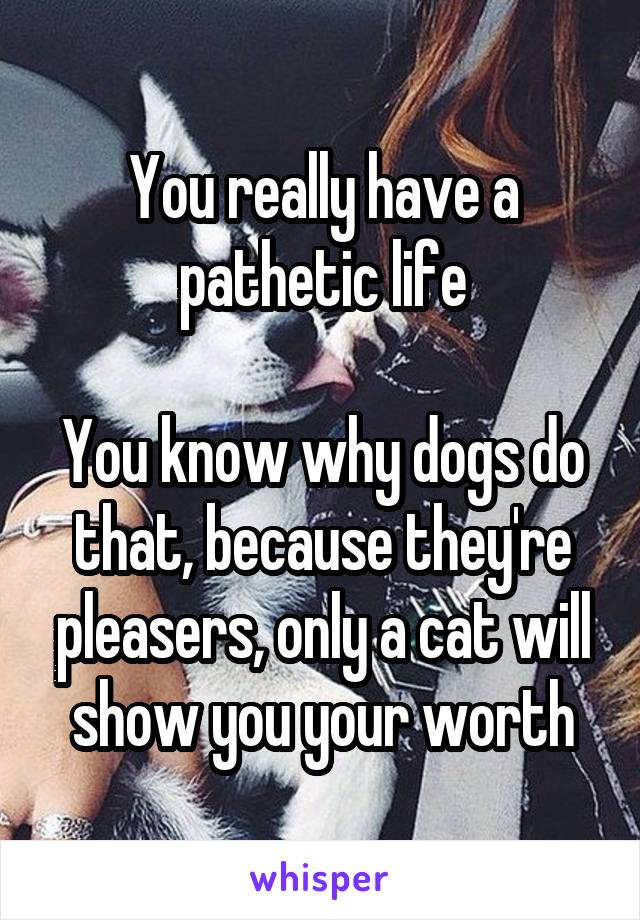 You really have a pathetic life

You know why dogs do that, because they're pleasers, only a cat will show you your worth