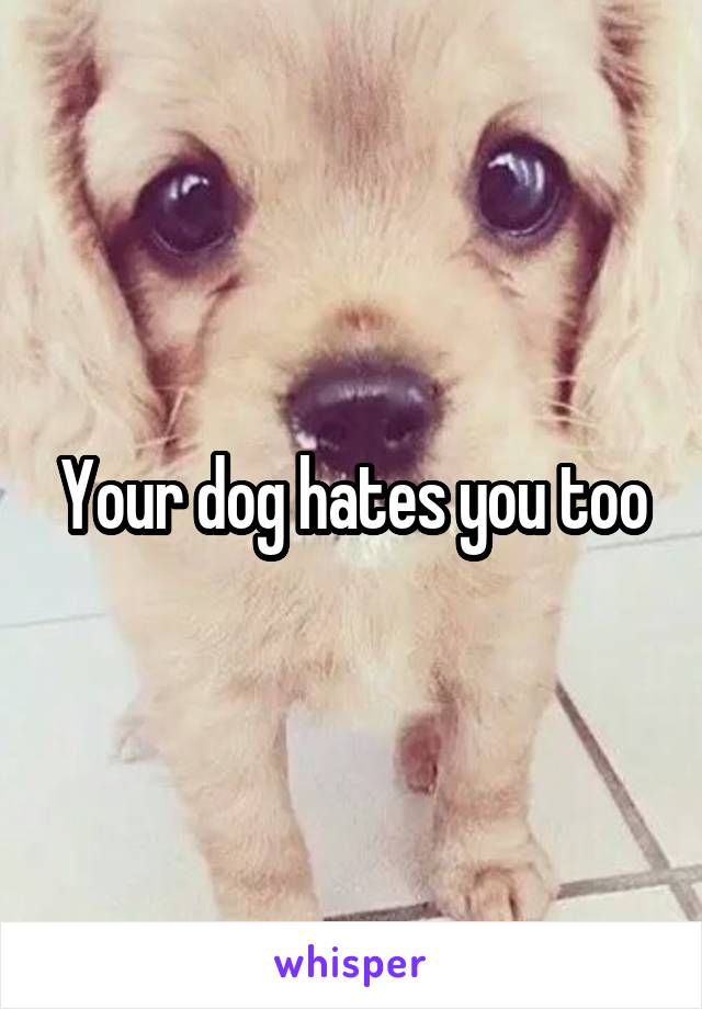 Your dog hates you too