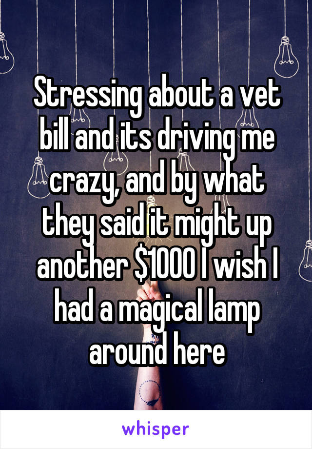 Stressing about a vet bill and its driving me crazy, and by what they said it might up another $1000 I wish I had a magical lamp around here