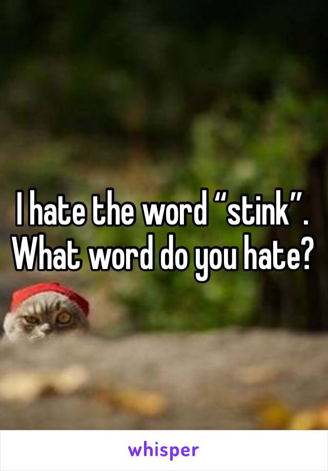 I hate the word “stink”. What word do you hate?