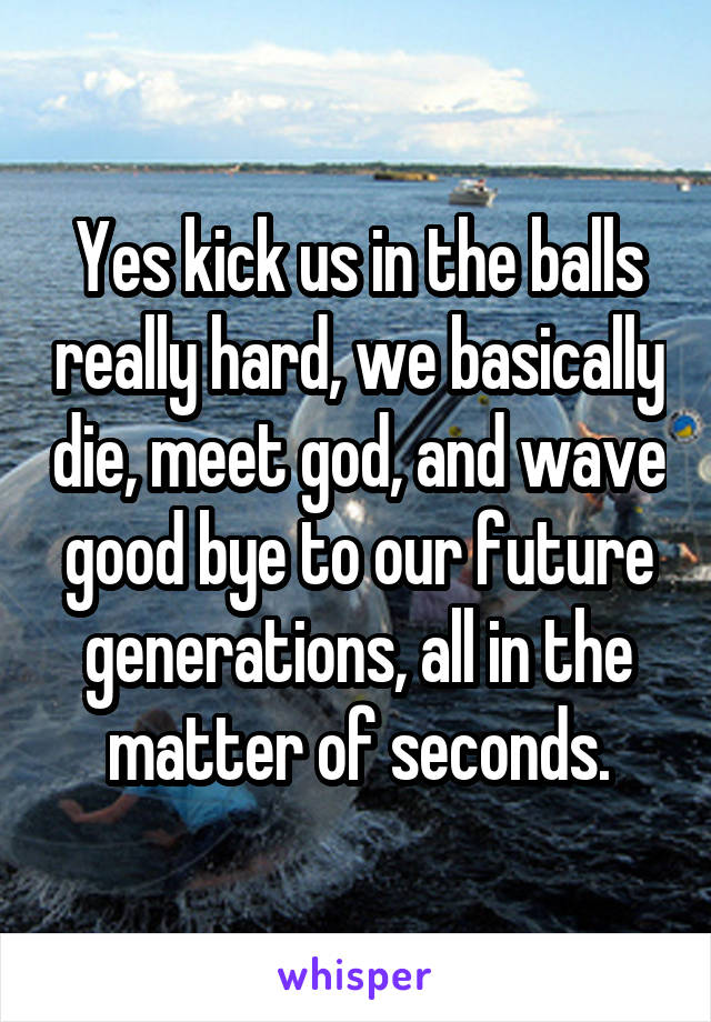 Yes kick us in the balls really hard, we basically die, meet god, and wave good bye to our future generations, all in the matter of seconds.