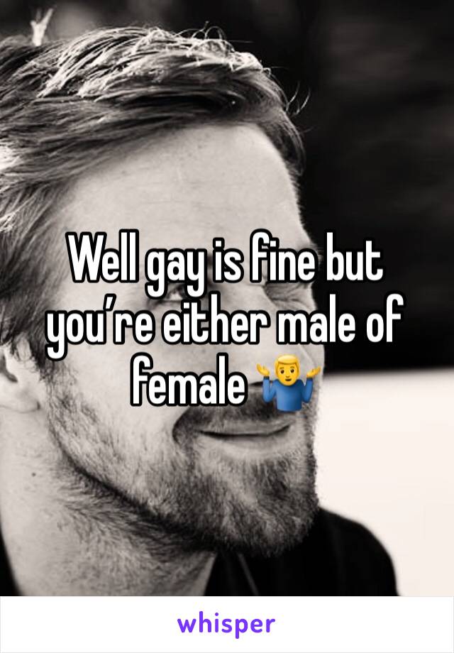 Well gay is fine but you’re either male of female 🤷‍♂️