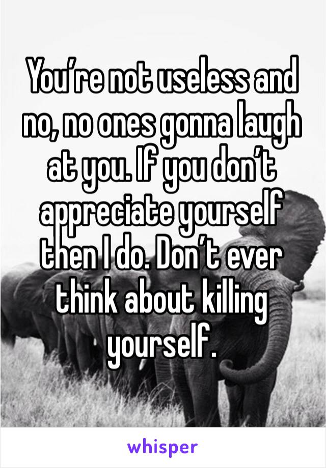 You’re not useless and no, no ones gonna laugh at you. If you don’t appreciate yourself then I do. Don’t ever think about killing yourself. 