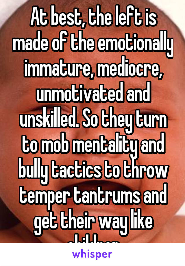 At best, the left is made of the emotionally immature, mediocre, unmotivated and unskilled. So they turn to mob mentality and bully tactics to throw temper tantrums and get their way like children