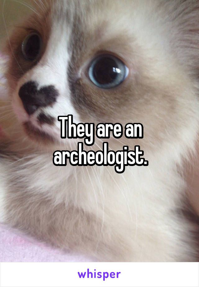 They are an archeologist.