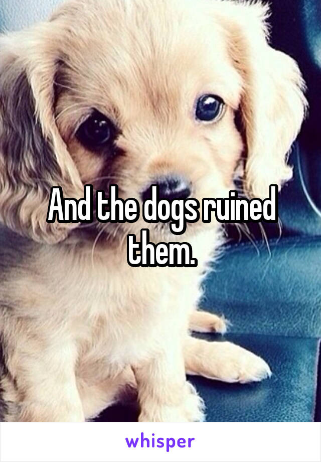 And the dogs ruined them.