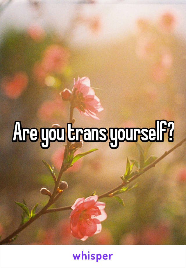 Are you trans yourself?