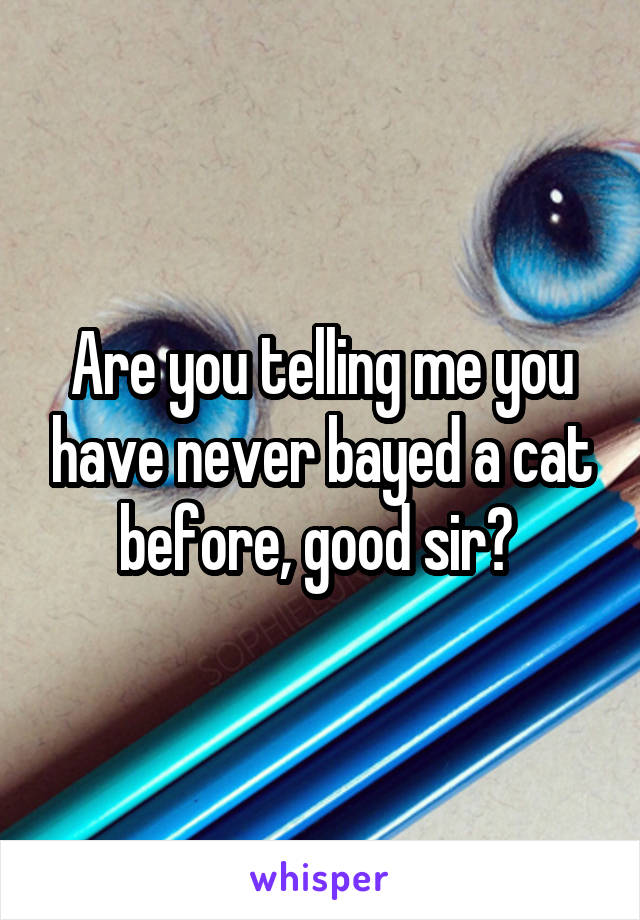 Are you telling me you have never bayed a cat before, good sir? 