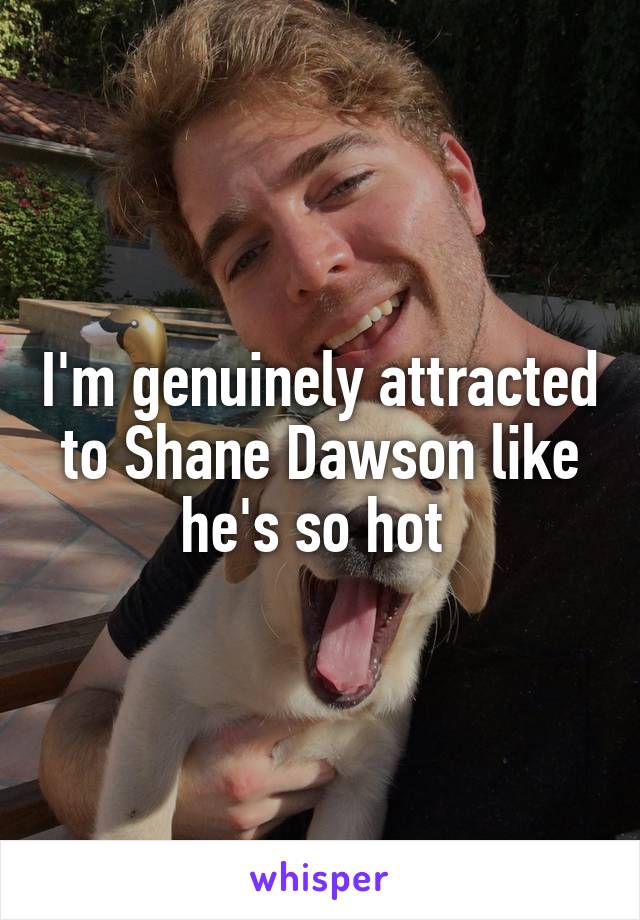 I'm genuinely attracted to Shane Dawson like he's so hot 