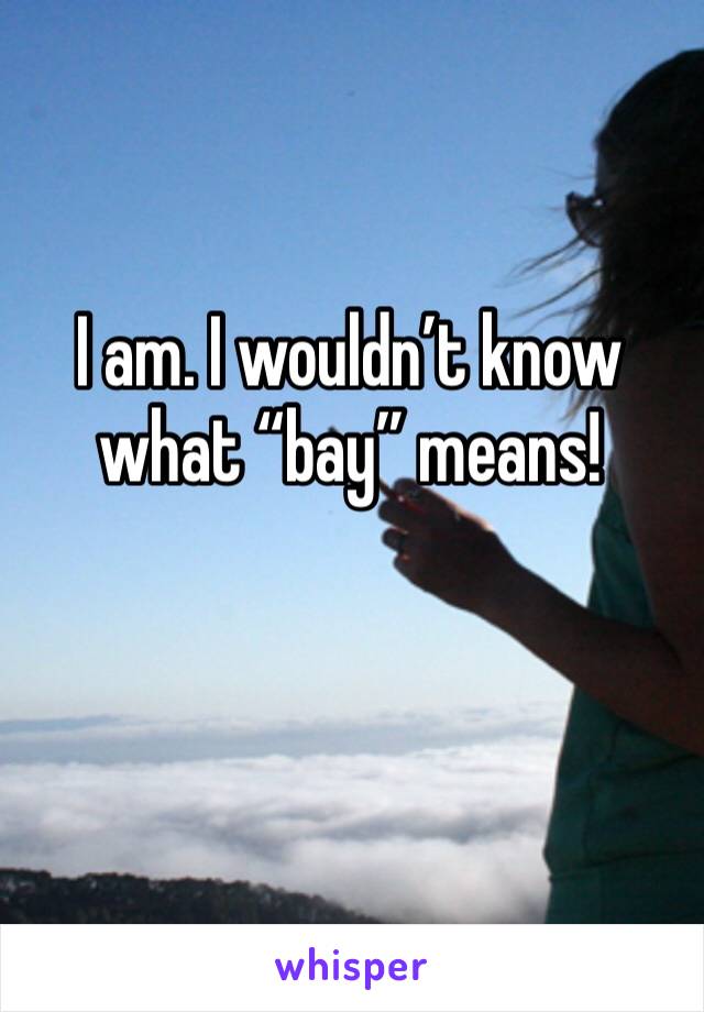 I am. I wouldn’t know what “bay” means!

