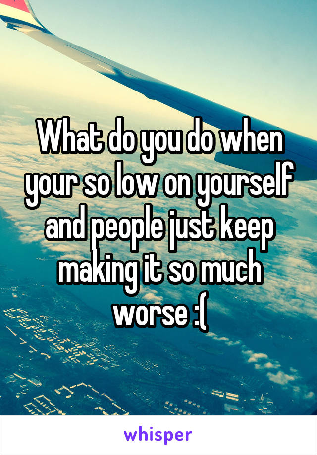 What do you do when your so low on yourself and people just keep making it so much worse :(