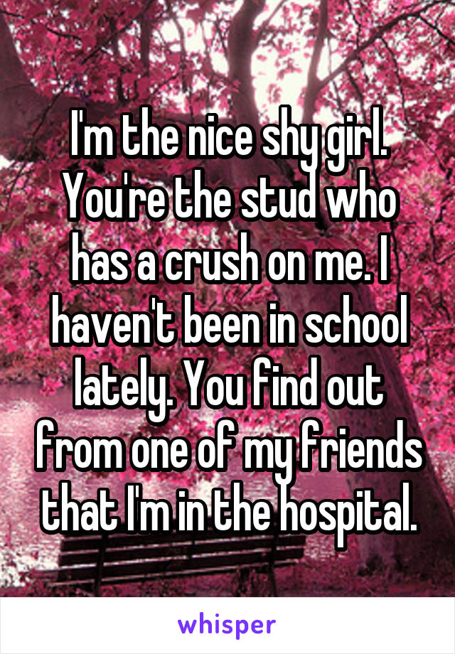 I'm the nice shy girl. You're the stud who has a crush on me. I haven't been in school lately. You find out from one of my friends that I'm in the hospital.