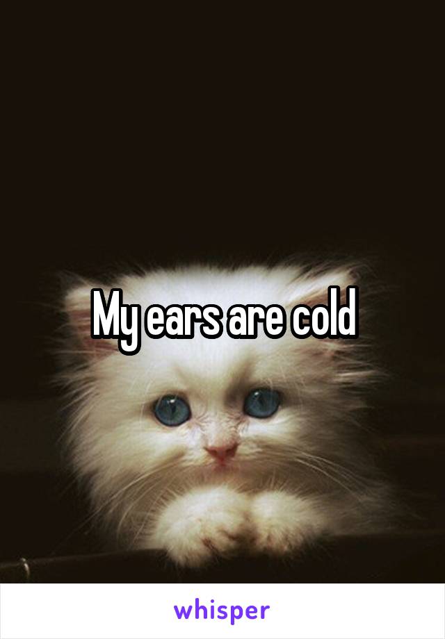 My ears are cold