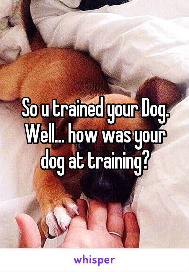 So u trained your Dog.
Well... how was your dog at training?
